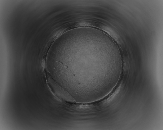 X0000095950849200801111348