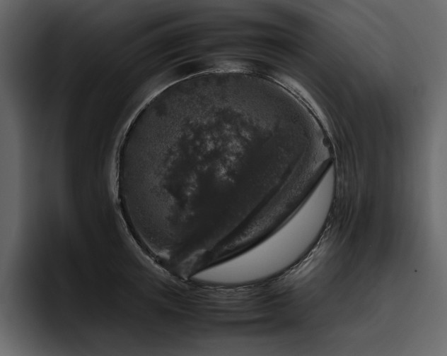 X0000095950851200801111348