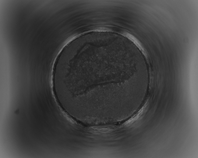 X0000095950853200801111348
