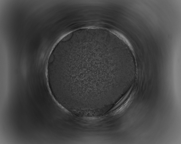 X0000095950855200801111348