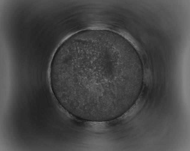 X0000095950856200801111348