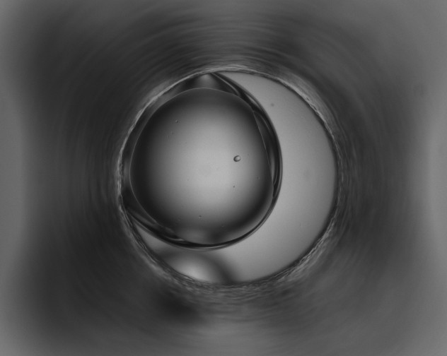 X0000095950858200801111348