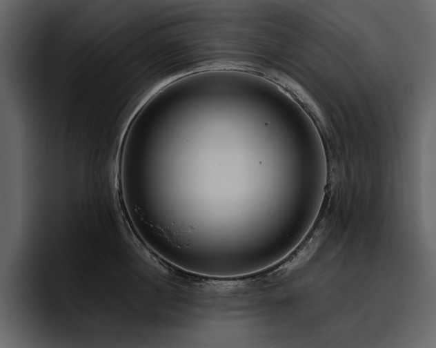X0000095950860200801111348