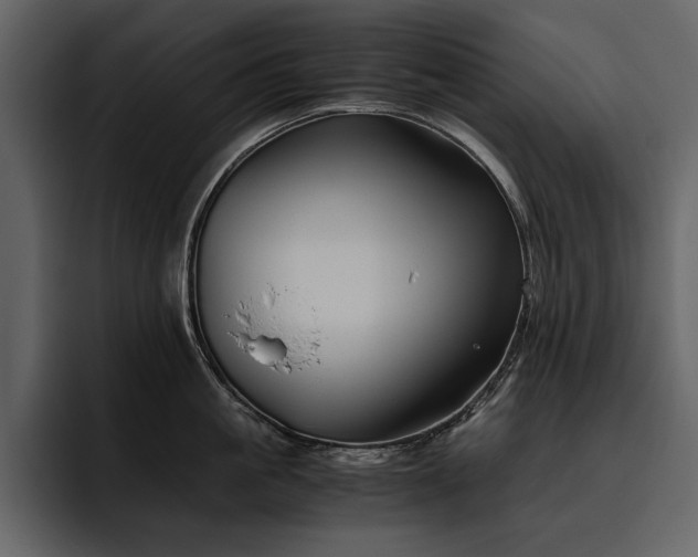 X0000095950861200801111348