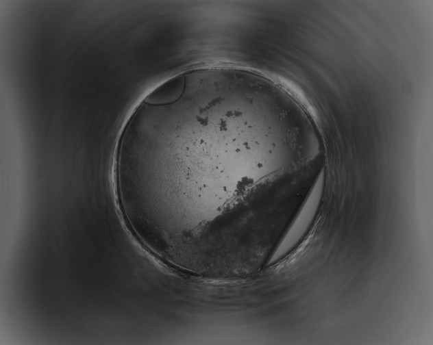 X0000095950863200801111348