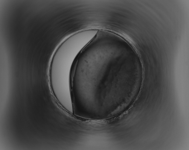 X0000095950864200801111348