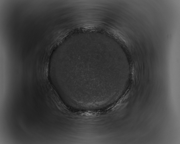 X0000095950868200801111348