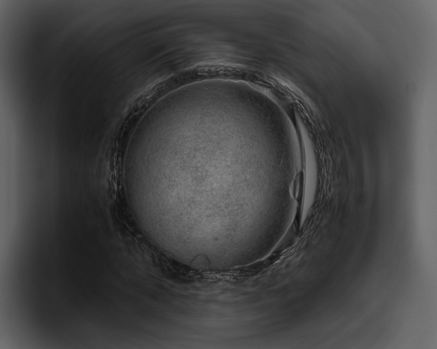 X0000095950870200801111348
