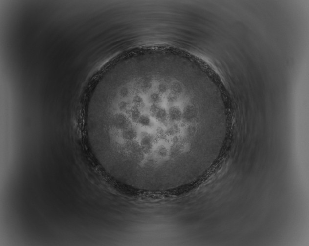 X0000095950871200801111348