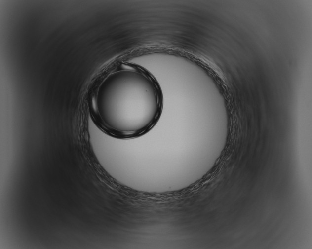 X0000095950872200801111348
