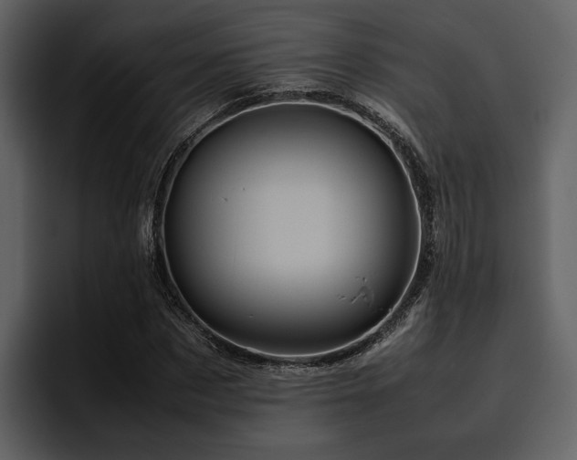 X0000095950873200801111348