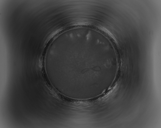 X0000095950874200801111348