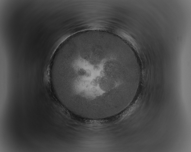 X0000095950875200801111348