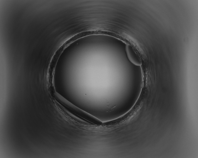 X0000095950876200801111348