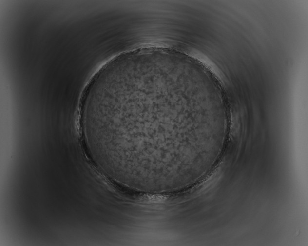 X0000095950878200801111348