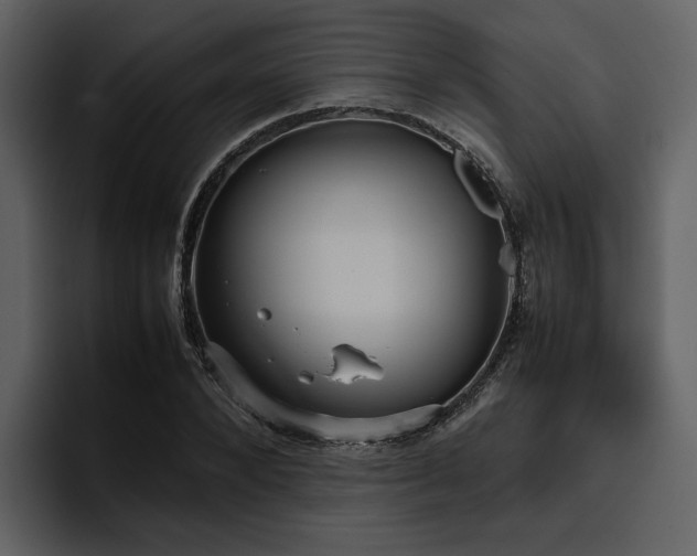 X0000095950880200801111348