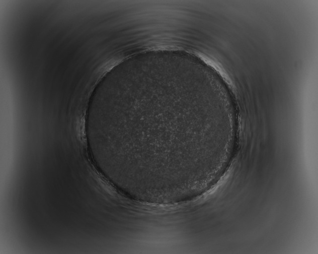 X0000095950881200801111348