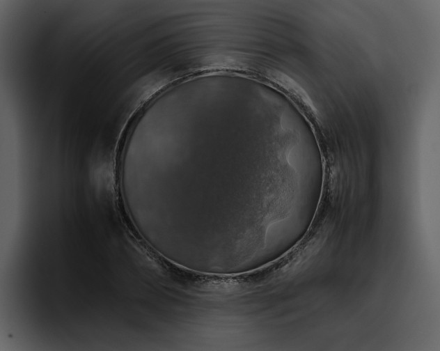 X0000095950882200801111348