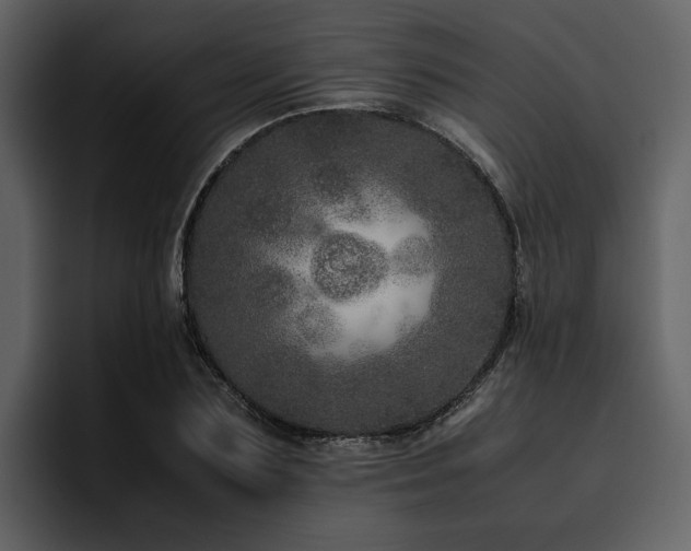 X0000095950883200801111348