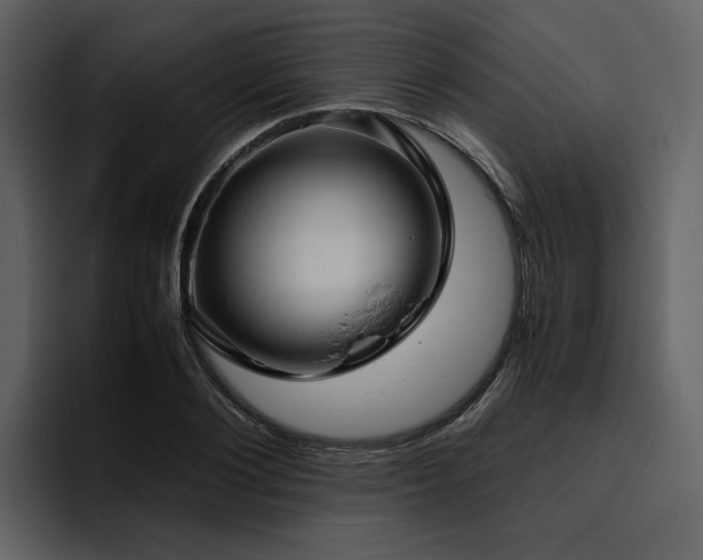 X0000095950884200801111348