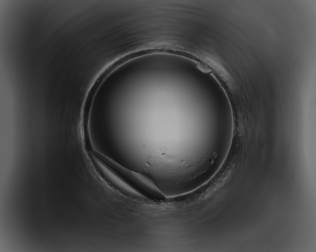 X0000095950888200801111347