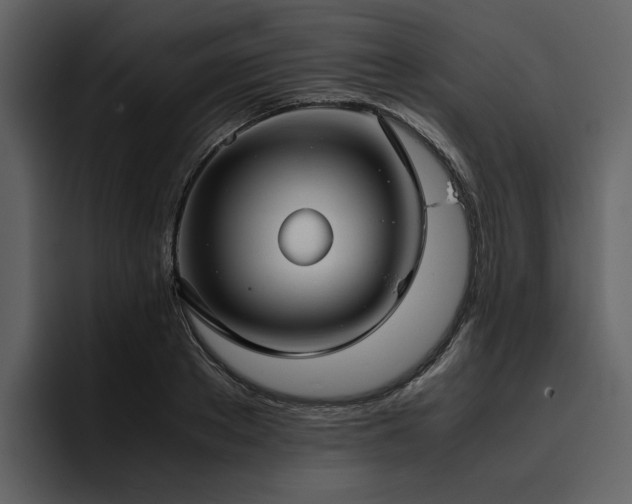 X0000095950889200801111347