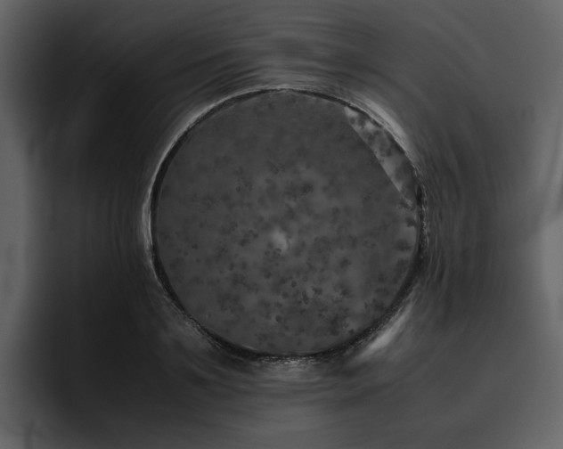 X0000095950891200801111347