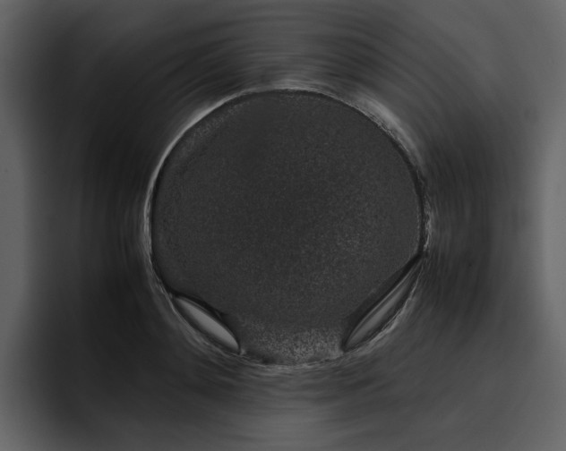 X0000095950892200801111347