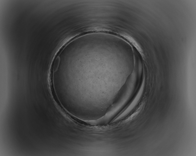 X0000095950893200801111347