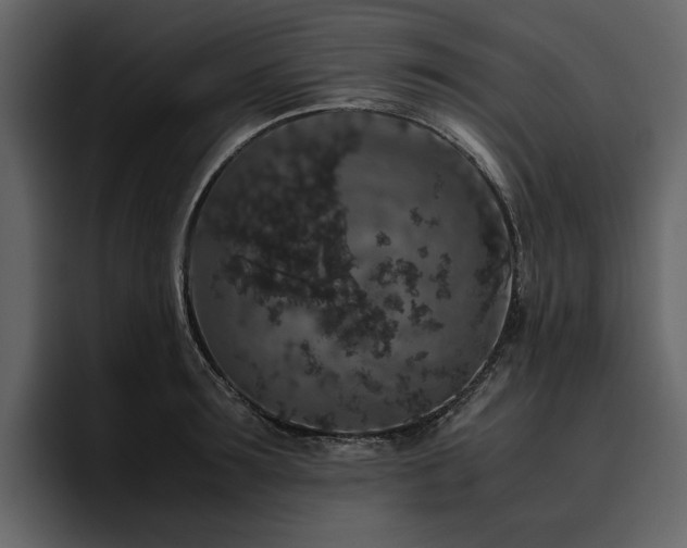X0000095950899200801111347