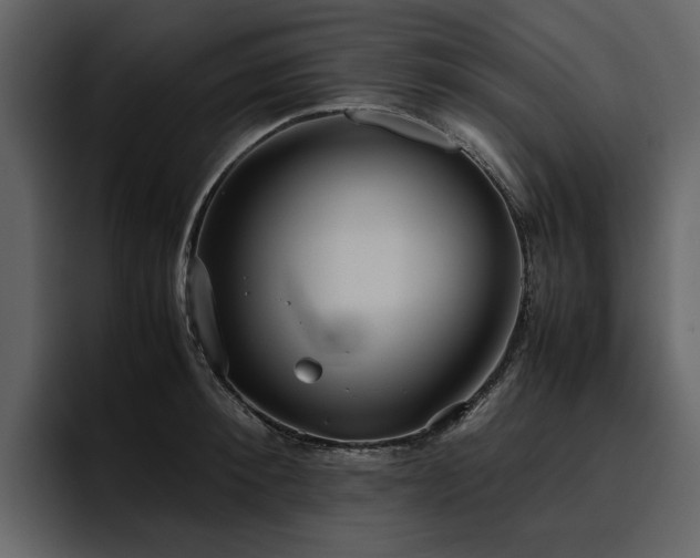 X0000095950900200801111347