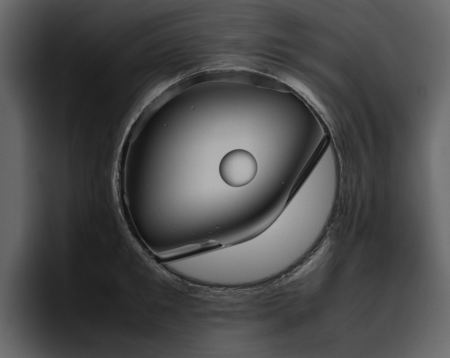X0000095950901200801111347