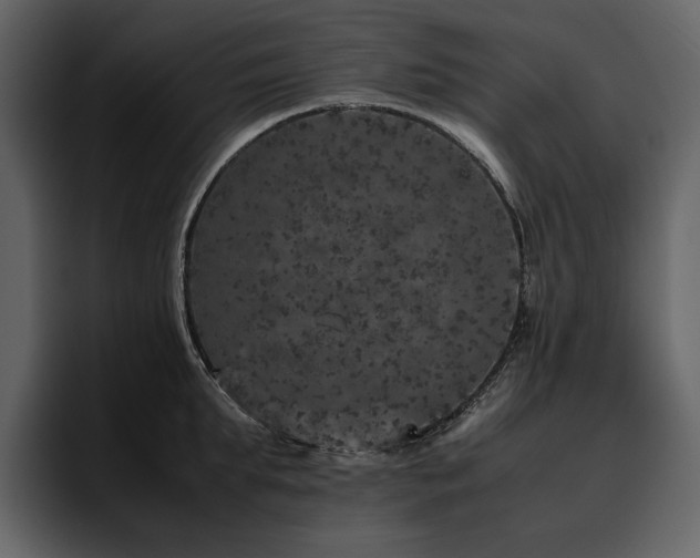 X0000095950903200801111347