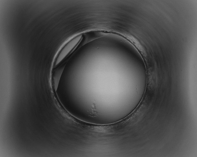 X0000095950904200801111347