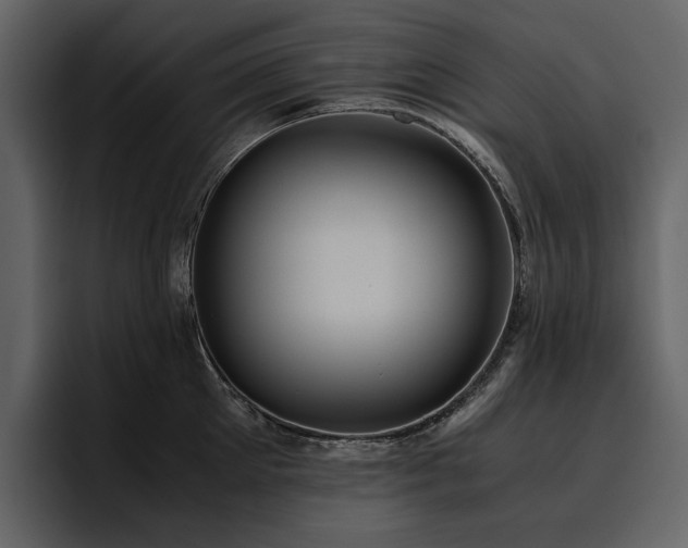 X0000095950905200801111347