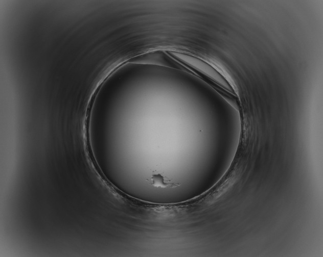 X0000095950906200801111347