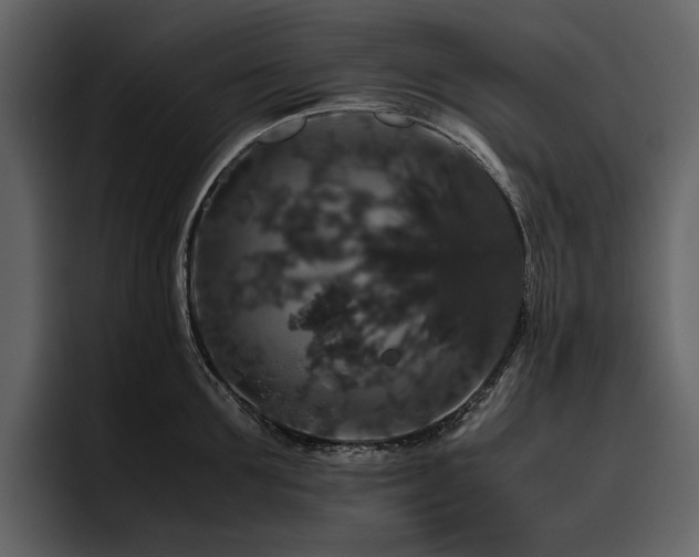 X0000095950907200801111347