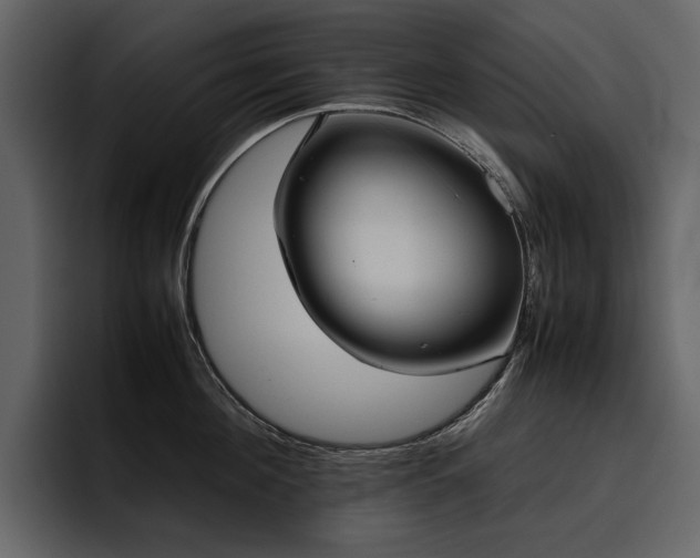 X0000095950908200801111347