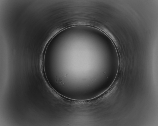 X0000095950909200801111347