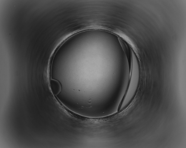 X0000095950910200801111347