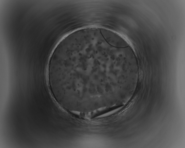 X0000095950911200801111347