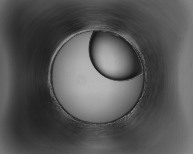 X0000095950912200801111347