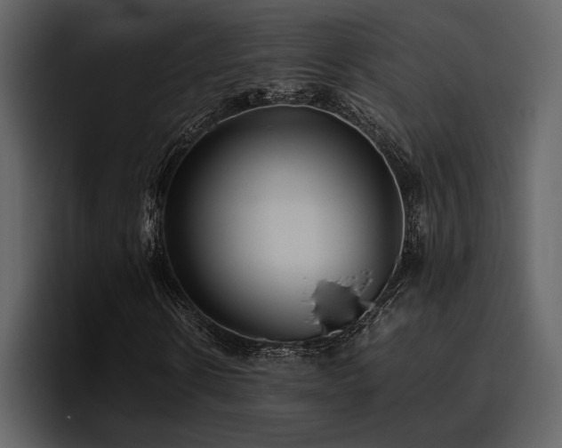 X0000095950914200801111347