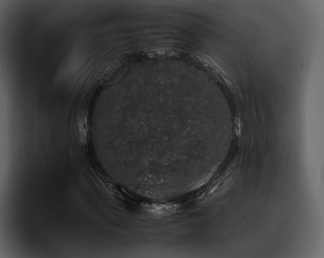 X0000095950915200801111347