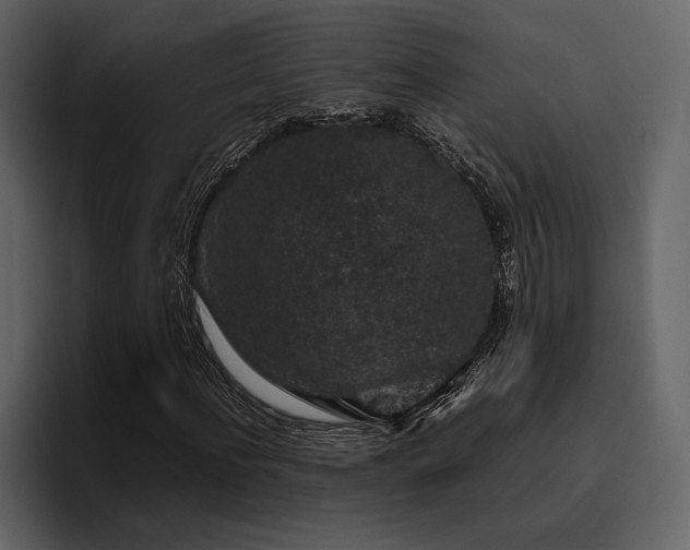 X0000095950916200801111347
