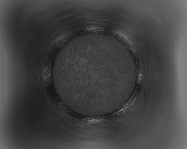 X0000095950917200801111347