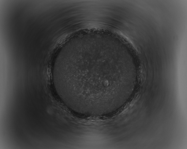 X0000095950918200801111347