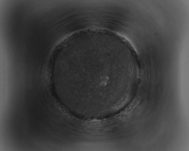 X0000095950919200801111347