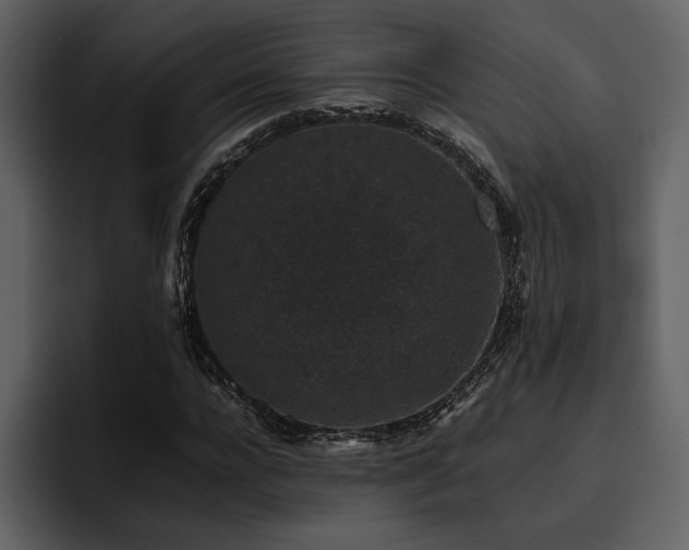 X0000095950920200801111347