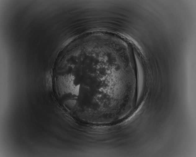 X0000095950921200801111347